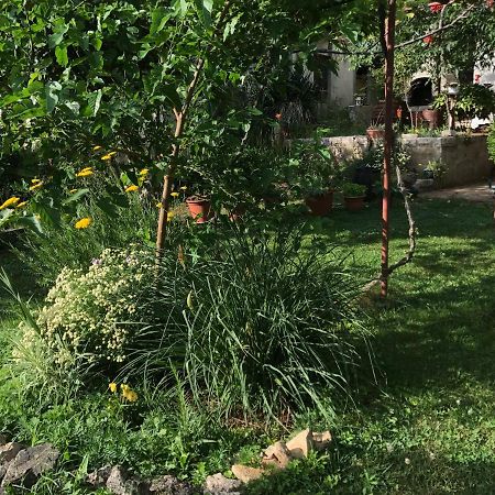 Green Quiet Apartments Водице Екстер'єр фото